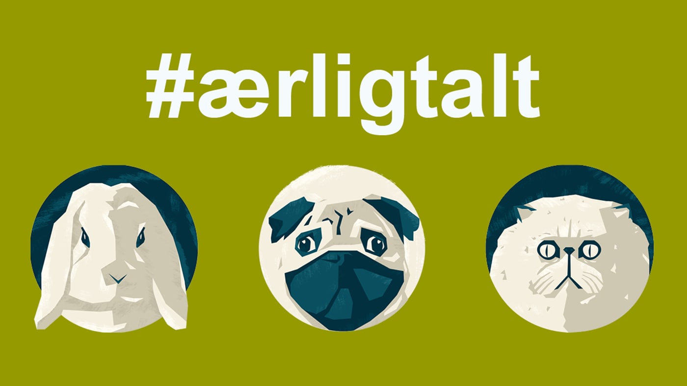 Fjerde julegave til DOOA