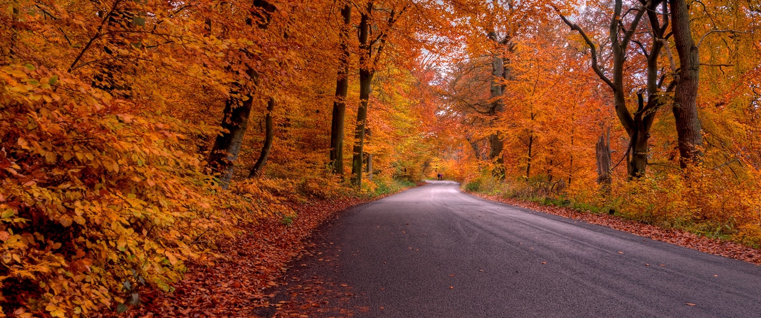 Slik gjør du bilen klar for høsten