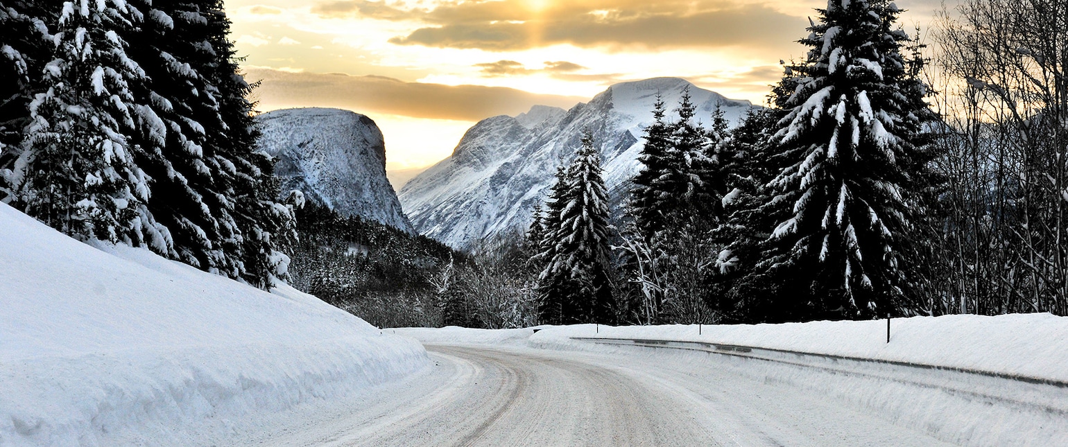 Nominer din hjertesak!